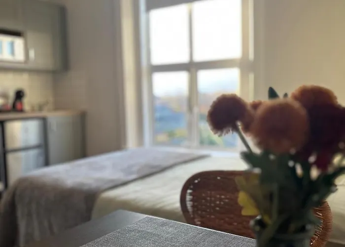 Lury's Apartman Dublin