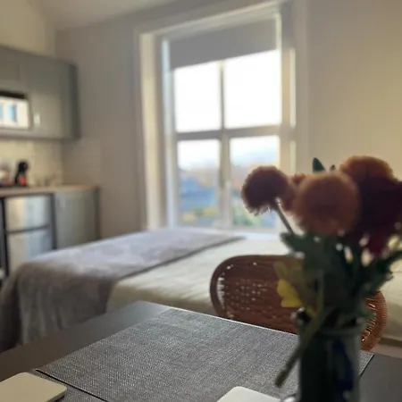 Lury's Apartmán Dublin